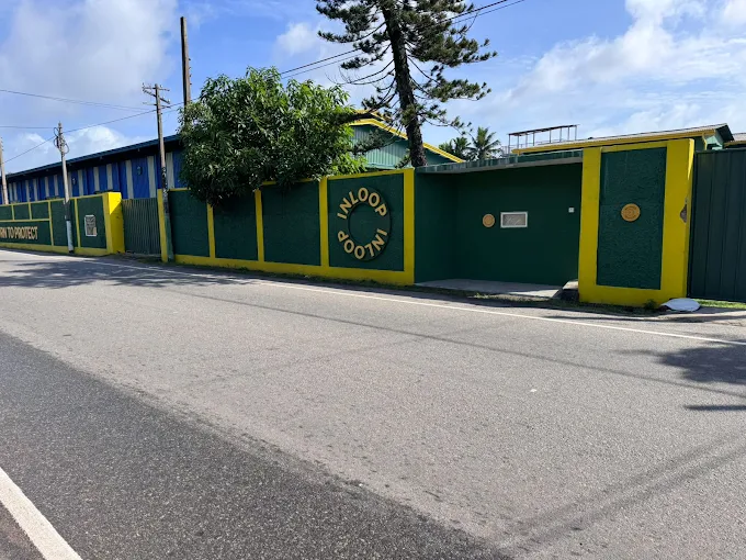 Sustainable Packaging Solutions